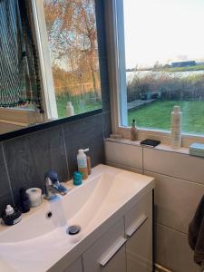 a bathroom with a sink and a window at Lakeview in Uitdam