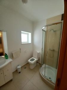 a bathroom with a toilet and a shower and a sink at Casa Grande Abrunheiro Grande in Vila de Rei