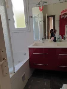 ein Badezimmer mit einem Waschbecken und einer Person im Spiegel in der Unterkunft Maison jardin porte de paris in Vitry-sur-Seine
