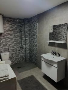 a bathroom with a shower and a sink and a toilet at ANKA APARTMENT in Štip