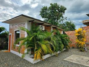 uma pequena casa com palmeiras em frente em MORALES BUNGALOWS em Tarapoto