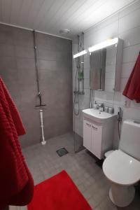 uma casa de banho com um WC branco e um lavatório. em Aliisa's Apartment II em Rovaniemi