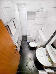 uma casa de banho com um WC e um lavatório em Bauernhofpension Hof Dödesberg em Bad Berleburg