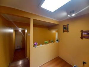 a hallway with two potted plants on a wall at HOSTAL LA CASONA ALFREDO CAMPOS in Ovalle