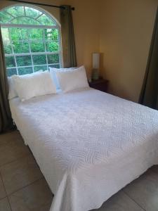 Voodi või voodid majutusasutuse Bellevue hideaway toas