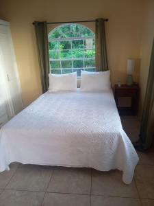 Voodi või voodid majutusasutuse Bellevue hideaway toas