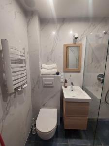 a white bathroom with a toilet and a sink at Apartamenty Jaskółcza in Bydgoszcz