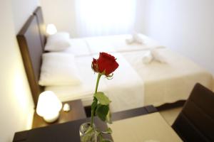 eine rote Rose in einer Vase auf einem Tisch in einem Hotelzimmer in der Unterkunft Sites Of Zadar Rooms in Zadar