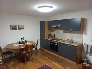 eine Küche mit einem Tisch, einer Spüle und einer Theke in der Unterkunft Alpenblick Monteurzimmer und Ferienwohnung 