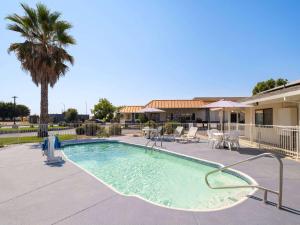 a swimming pool with chairs and a palm tree at Super 8 by Wyndham Dunnigan in Dunnigan