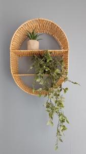a wicker shelf with a potted plant on it at Haus Stefanie Elvire in Kurort Altenberg