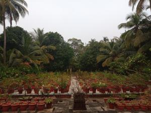 a garden filled with lots of pots of plants at Pournami Home Stay in Trichūr