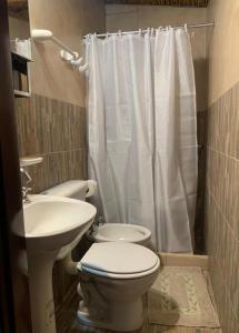 La salle de bains est pourvue de toilettes, d'un lavabo et d'une douche. dans l'établissement Hotel Cactus Plaza, à Purmamarca