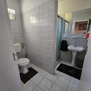 a bathroom with a toilet and a sink at Tamboti Farm Accommodation in Tsumeb