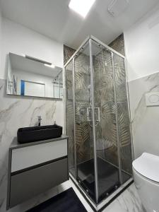 a bathroom with a shower with a sink and a toilet at Casa vacanze 1702, con la camera matrimoniale con il bagno privato e un soggiorno comune in Milan
