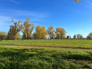a field of grass with trees in the background at Casa vacanze 1702, con la camera matrimoniale con il bagno privato e un soggiorno comune in Milan +2 photos
