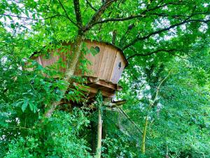 una casa en el árbol en medio de un árbol en Domaine des vaulx en La Baconnière