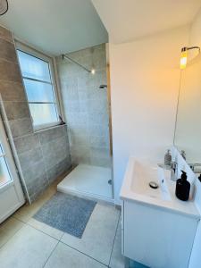 uma casa de banho branca com um lavatório e um chuveiro em Chaleureux T2 proche gare em Bourgoin