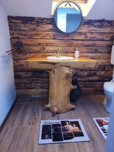uma casa de banho com um lavatório e um espelho em Country Chalet em Praid