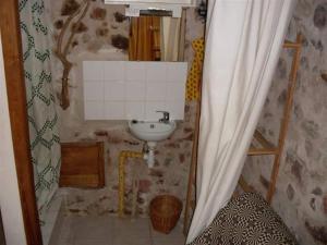 a small bathroom with a sink and a shower at gîte écolo Avène, proche Nature et Lerab Ling BILINGUAL IL FAUT lire PLUS BAS sous la rubrique VOTRE HOTE avec photo in Avène