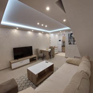 Μια τηλεόραση ή/και κέντρο ψυχαγωγίας στο Apartman LUX Jelena
