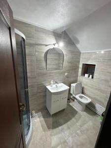 a bathroom with a sink and a toilet at Pensiunea Sarah - Muntele Mic in Muntele Mic