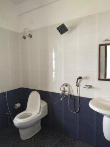 a bathroom with a shower and a toilet and a sink at The Banyan Tree Samudra in Kovalam