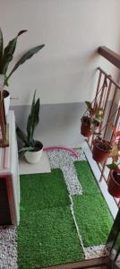une chambre avec des plantes et un tapis vert dans l'établissement Condo staycation in Marilao, à Marilao