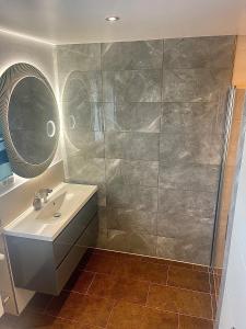 ein Bad mit einem Waschbecken und einer Dusche in der Unterkunft Gemütliche Oase in Fürth