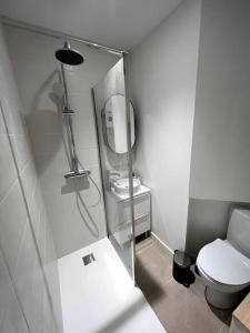 een witte badkamer met een toilet en een spiegel bij Studio 2 - Mi-Côte - Duplex à Orvault in Orvault