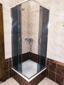 La salle de bains est pourvue d'une douche avec une porte en verre. dans l'établissement Hotel Delfin, à Moukatcheve