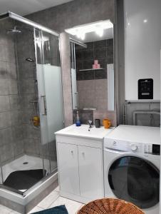 迪涅萊班的住宿－La Provence vous Attend - 2ème étage，一间带洗衣机和淋浴的浴室
