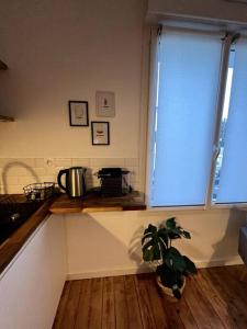 a kitchen with a plant on a counter and a window at Studio 3 - Mi-Côte - Studio à Orvault in Orvault