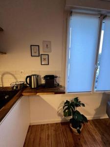 uma cozinha com uma planta num balcão e uma janela em Studio 3 - Mi-Côte - Studio à Orvault em Orvault