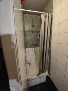 een badkamer met een douche en een douchegordijn bij 2 pièces Lumineux & Calme (28m²) in Parijs