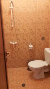 a bathroom with a toilet and a shower at Почивна станция - ТЕЦ Бобов дол in Bistriza