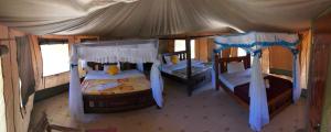 um quarto com dois beliches numa casa em Eco Mara Tented Camp em Ololaimutiek