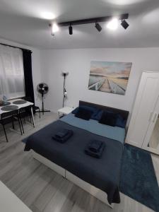 1 dormitorio con cama y escritorio. en Przystań Sandomierz, en Sandomierz