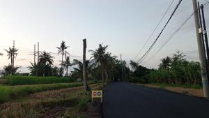 an empty road with palm trees on the side at Neny's Homestay in Saba
