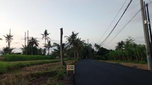 an empty road with palm trees on the side at Neny's Homestay in Saba