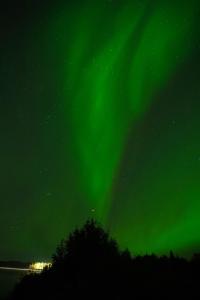 an image of the green northern lights in the sky at Levillenet Levi centre chalets in Levi