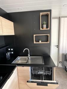 a black kitchen with a sink and a dishwasher at Les collines de lava in Appietto