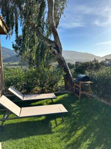 two lounge chairs and a grill in the grass at Les collines de lava in Appietto