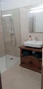 a bathroom with a sink and a shower and a sink at L'albizia Studio calme et tout confort in Lucciana