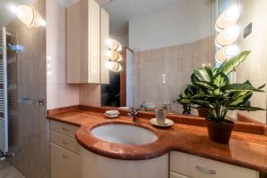 a bathroom with a sink and a potted plant at Bibliò Rooms Guesthouse in Bologna