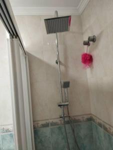a shower with a glass door in a bathroom at Piso encantador Mediterráneo in Rincón de la Victoria