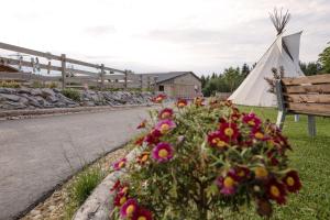 une tente blanche, un banc et des fleurs dans l'établissement Ranchhouse Bubble - Westernstable - Horse, à Elterlein