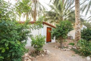 a house with a palm tree in front of it at Dar Barka in Kebili