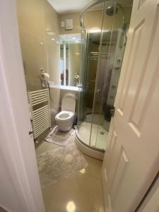 a bathroom with a toilet and a glass shower at Lovely 1 bedroom flat in Chigwell