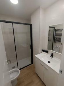 y baño con aseo, lavabo y ducha. en Encantador apartamento completo con dos habitaciones en Madrid